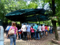 manila zoo DSC 0024