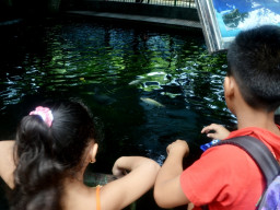 manila zoo DSC 0025