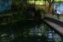 manila zoo DSC 0034