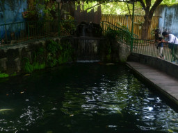 manila zoo DSC 0034
