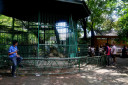 manila zoo DSC 0048