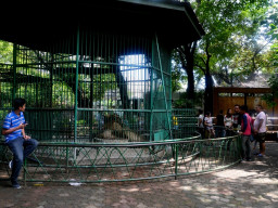manila zoo DSC 0048