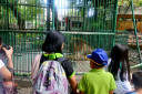 manila zoo DSC 0054