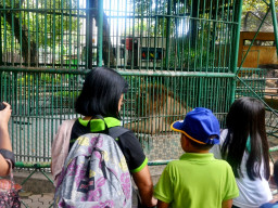 manila zoo DSC 0054