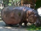Manila Zoo (Album 3)