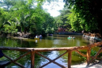 Manila Zoo (Album 4)
