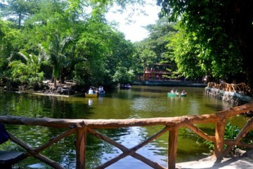 Manila Zoo (Album 4)