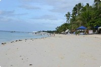 Panglao 