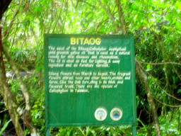 underground river DSC01395