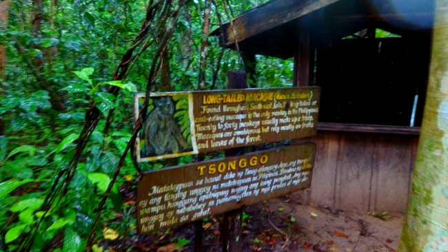 underground river DSC01404
