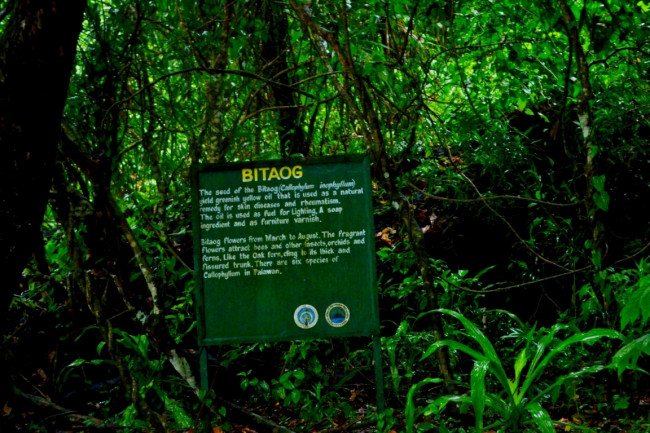 underground river DSC 0052
