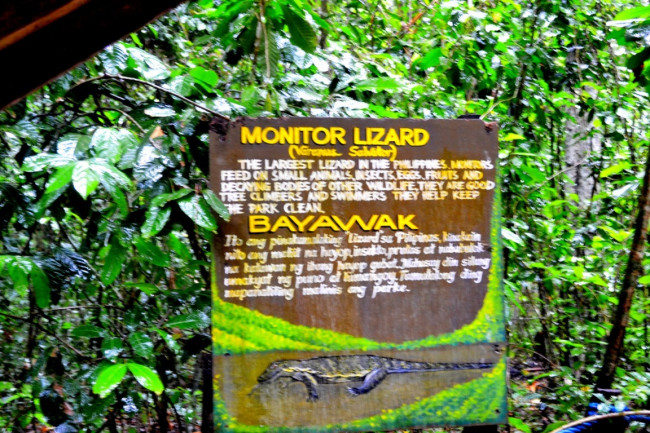 underground river DSC 0057