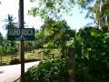 DSC 0059