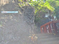 DSC 0069