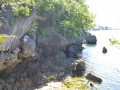 DSC 0078