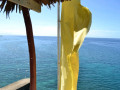 DSC 0097