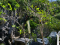 DSC 0108