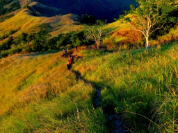 mt tibig DSC023336