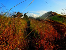 mt tibig DSC023366