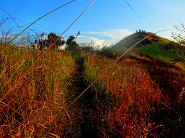 mt tibig DSC023366
