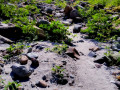 mt pinatubo 20141214 105946