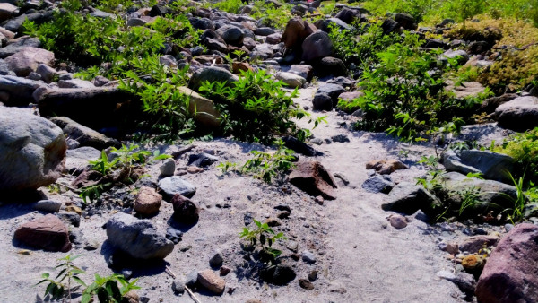 mt pinatubo 20141214 105946