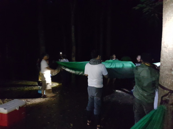 hammock 20161203 053355