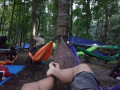 hammock 20161203 060039