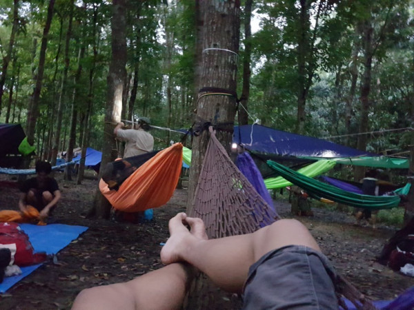 hammock 20161203 060039