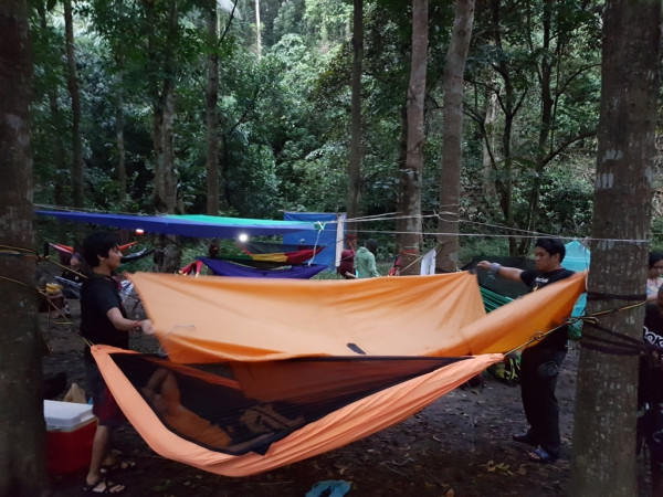 hammock 20161203 060609