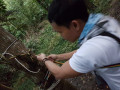 hammock 20161203 060850