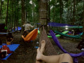 hammock 20161203 071732