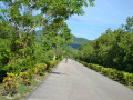 DSC 0093
