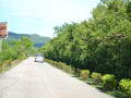 DSC 0094