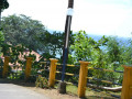 DSC 0137
