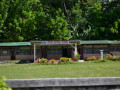 DSC 0142