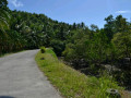 DSC 0147