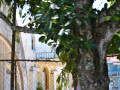 DSC 0229