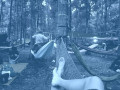 hammock 20161203 071808