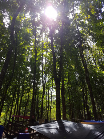 hammock 20161203 120005