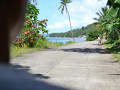 DSC 0232