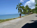 DSC 0236