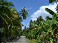 DSC 0237