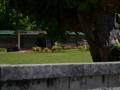DSC 0240