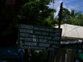 DSC 0242