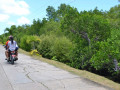 DSC 0248