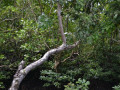 DSC 0250