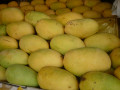 P1020870