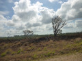 P1020886