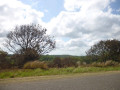 P1020889